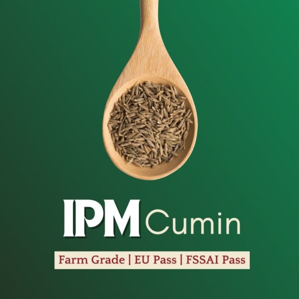 IPM CUMIN, IPM SPICES, IPM PRODUCTS