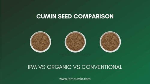 ipm vs organic vs conventional cumin seed